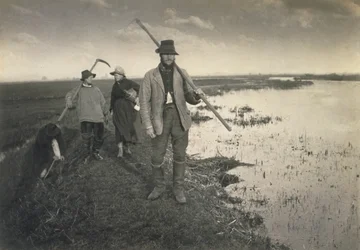 Coupe du Gladdon, Vie et paysage sur les Norfolk Broads, c.1886